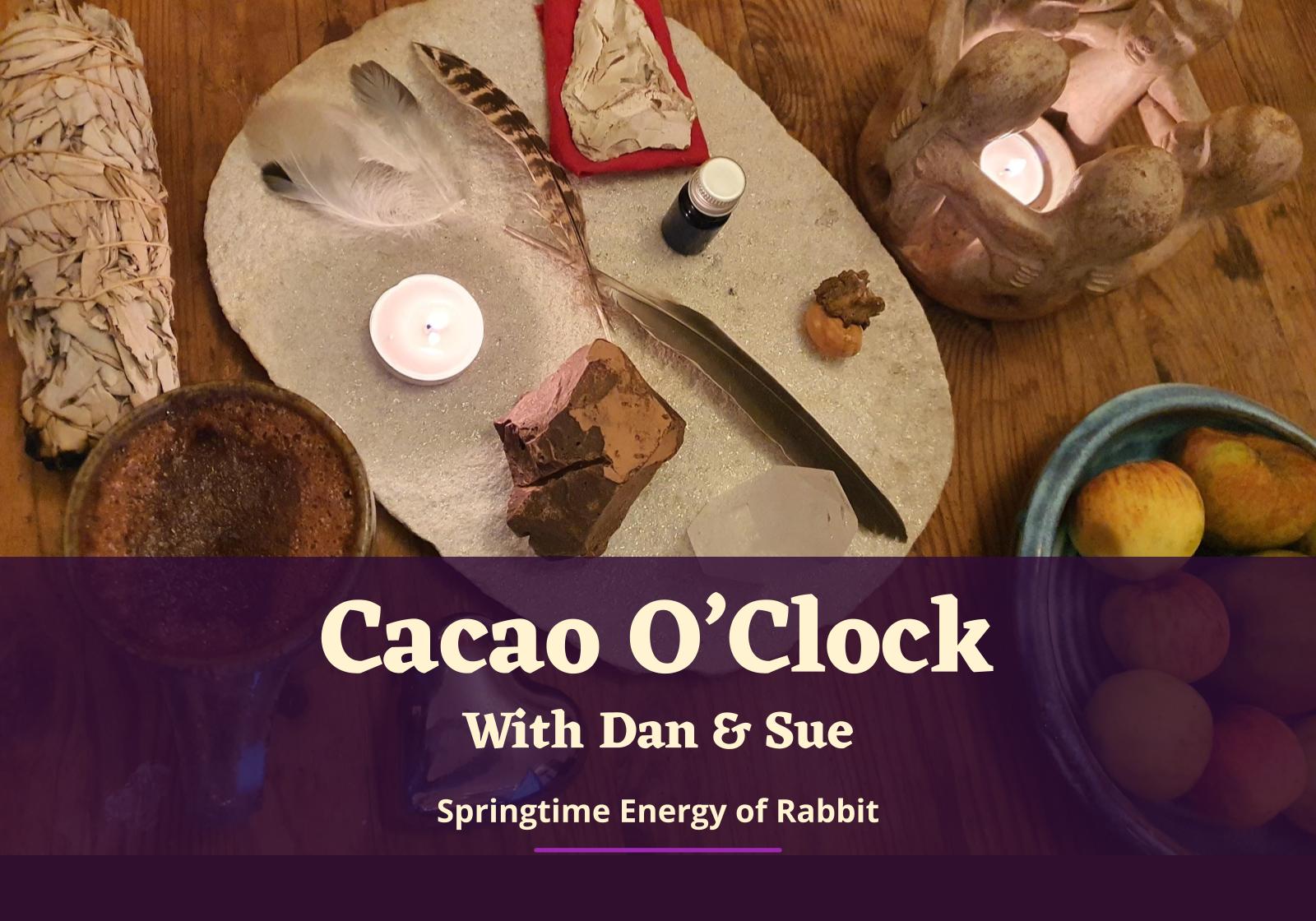 Cacao O'clock - Journey with the springtime energy of rabbit
