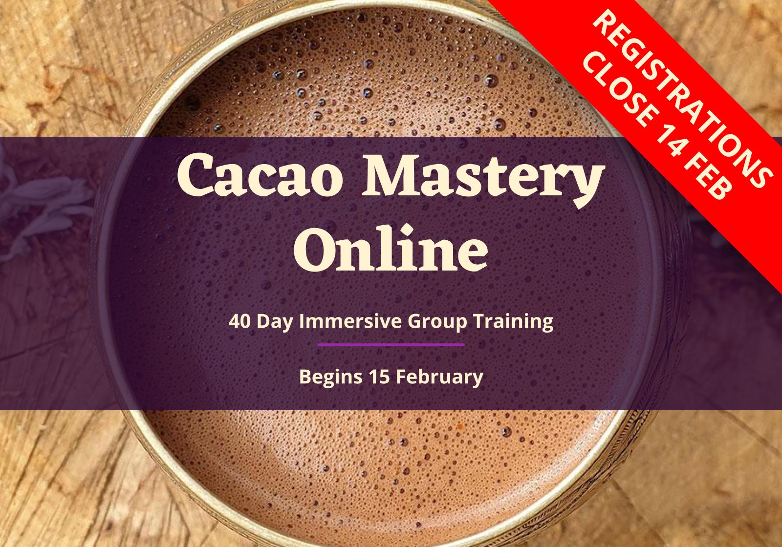cacao mastery online 40 day group training